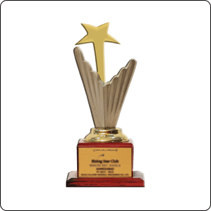 Award (23)